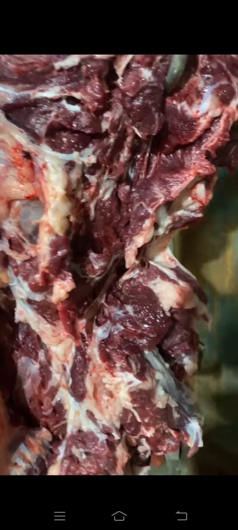 带皮驴肉质量保证，肉质鲜美，欢迎各位老板采购