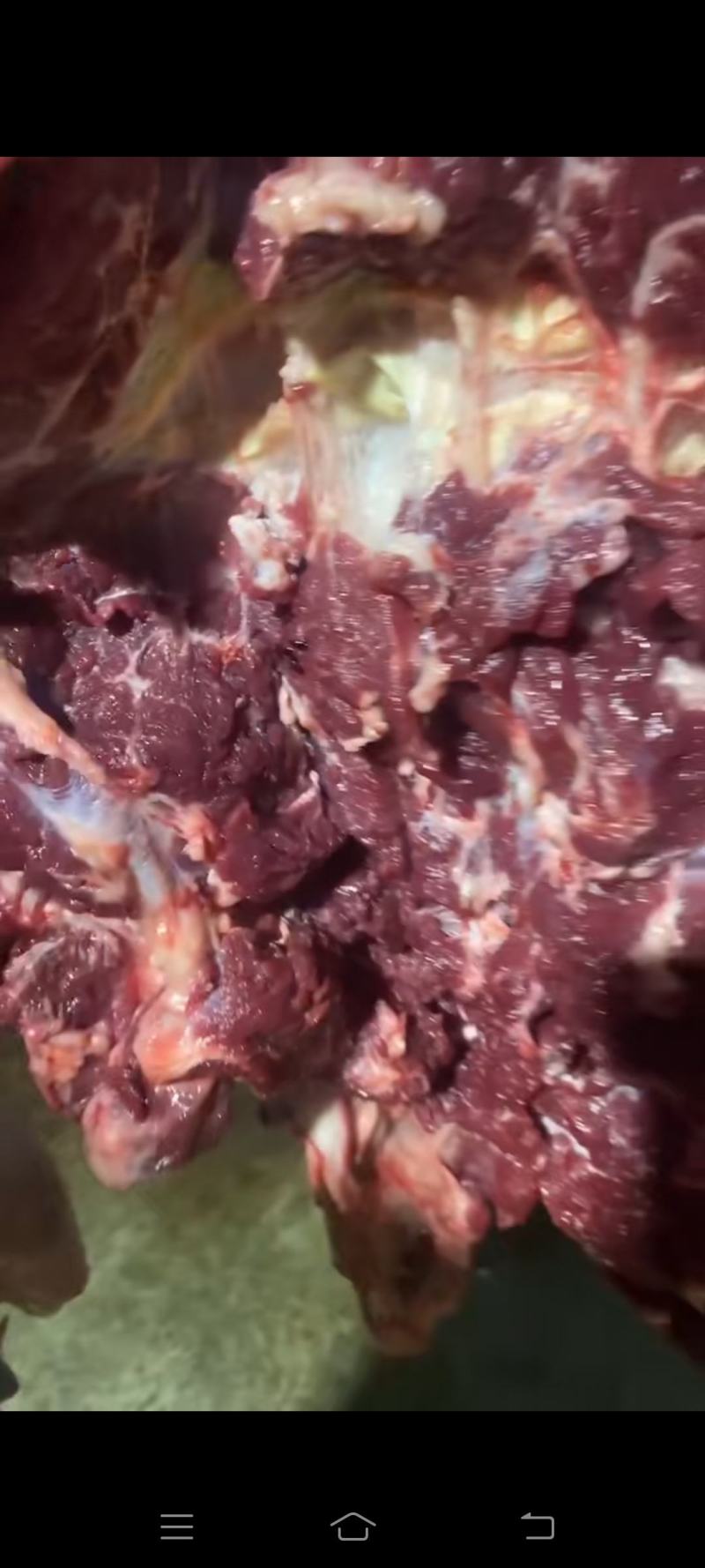 带皮驴肉质量保证，肉质鲜美，欢迎各位老板采购