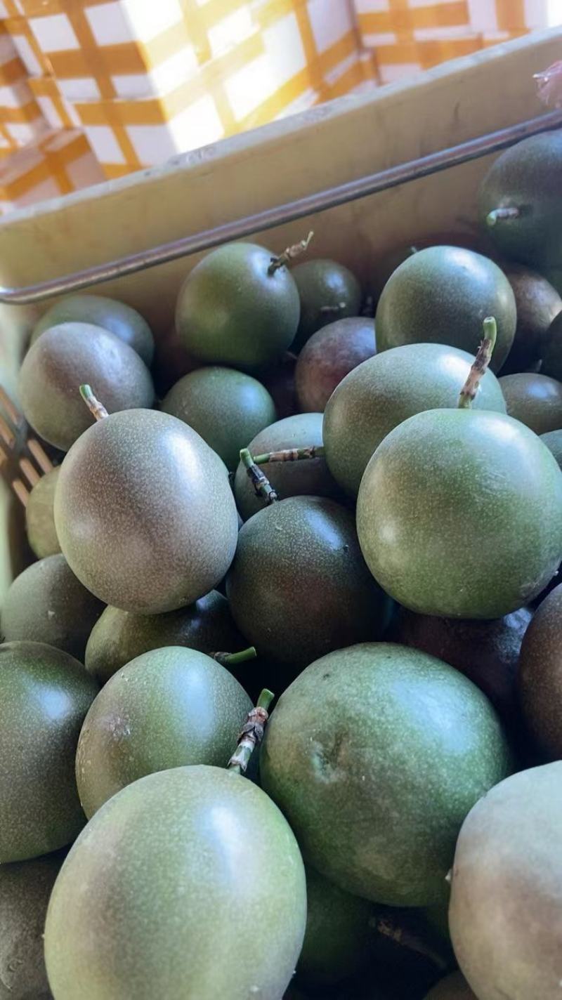 精品百香果一年四季供应（奶茶店专用）个电商一件代发