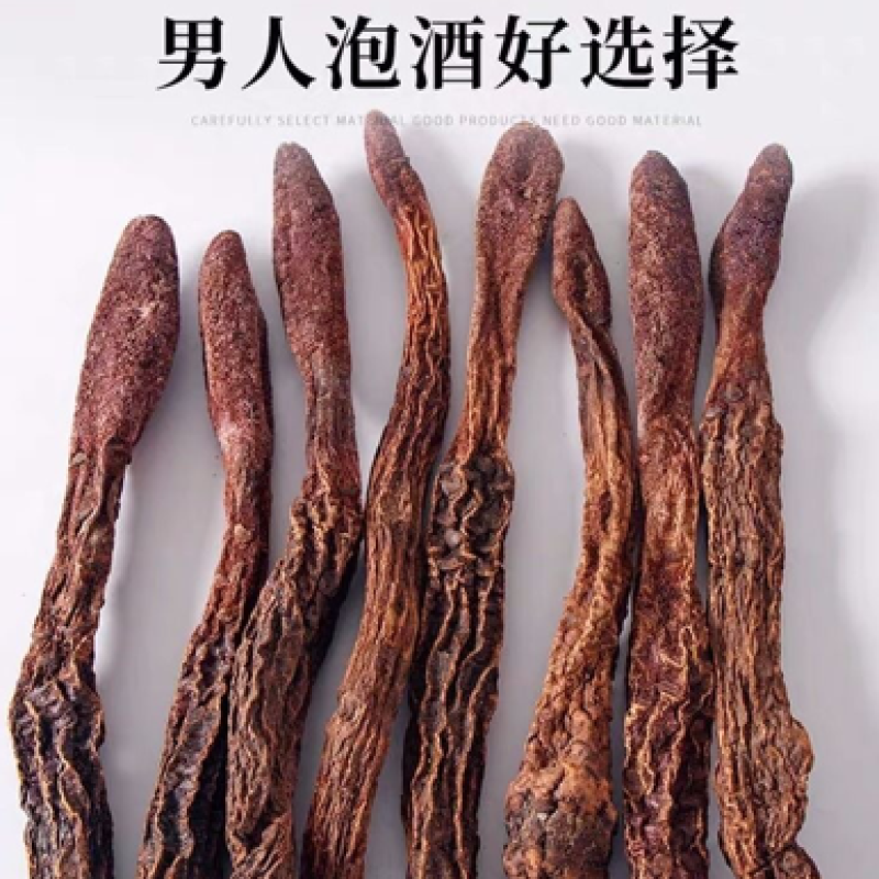 野生金锁阳特级整根泡茶泡酒料滋补