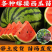 各种嫁接西瓜苗直播/嫁接8424美都甜王2k
