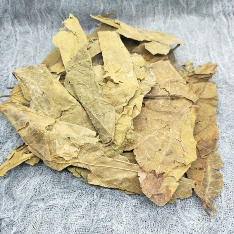 布渣叶布渣叶野生薢宝叶布渣叶正品破布叶烂布叶布渣叶