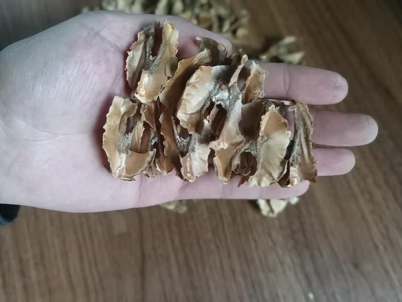 分心木，新疆纸皮核桃分心木一手货源，平价量大