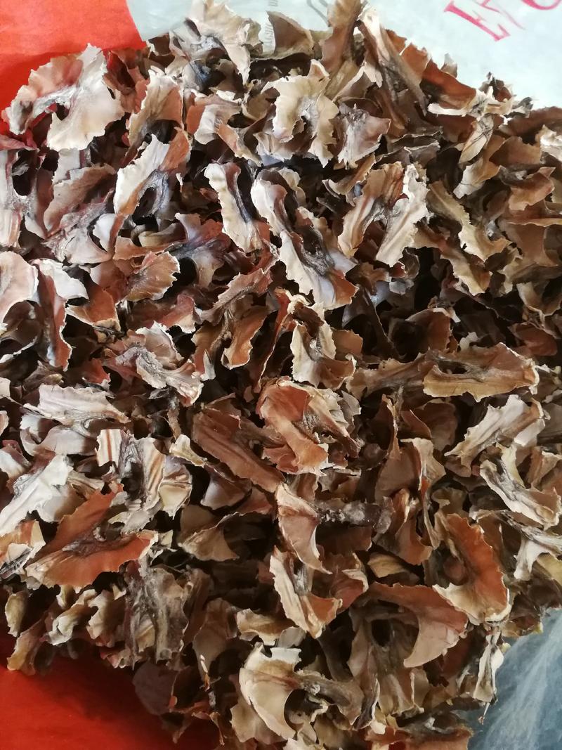 分心木，新疆纸皮核桃分心木一手货源，平价量大