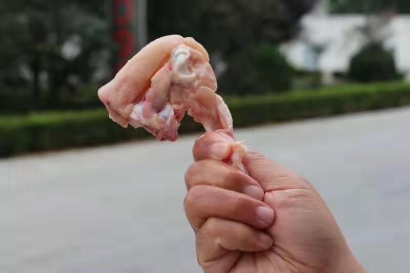 郑州莱聚商贸有限公司鸡副产品，切开鸡叉骨
