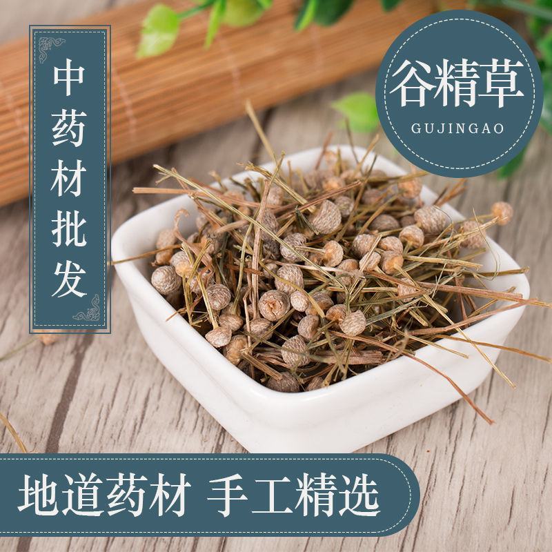 谷精草中草药安徽野生谷精草珍珠草耳朵刷子挖耳朵草