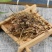 谷精草中草药安徽野生谷精草珍珠草耳朵刷子挖耳朵草