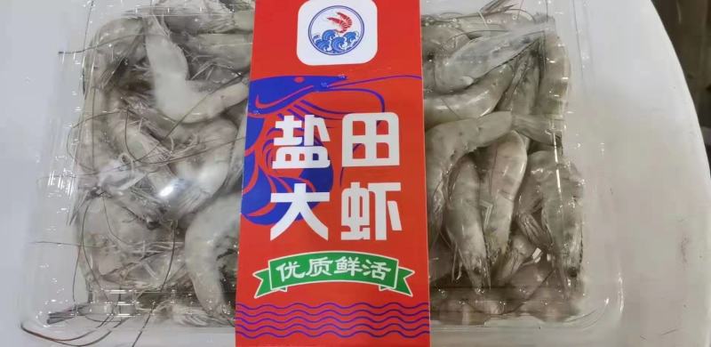 盐田大虾我们公司各种行号都有，各大商场来采购，