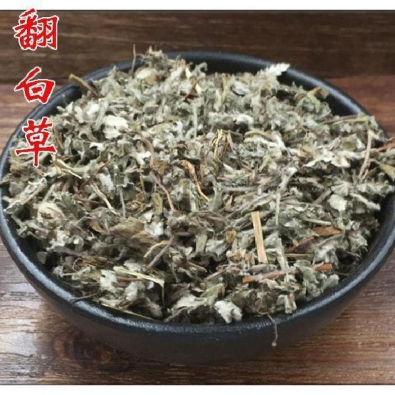 翻白草千锤打中药专营品质保证可打粉