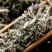 翻白草千锤打中药专营品质保证可打粉