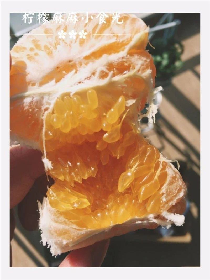 丑橘不知火销售丑柑丑八怪，春见耙耙柑爱媛果冻橙明日见柑苹