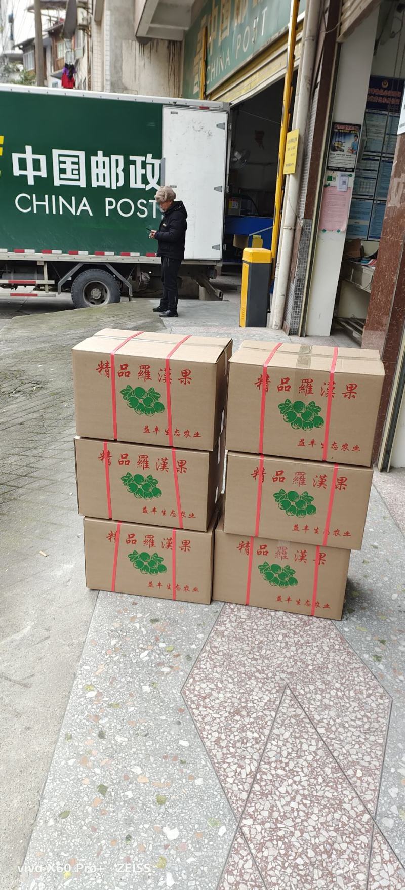 广西桂林特产低温冻干黄金罗汉果单个包装原产地一件发货