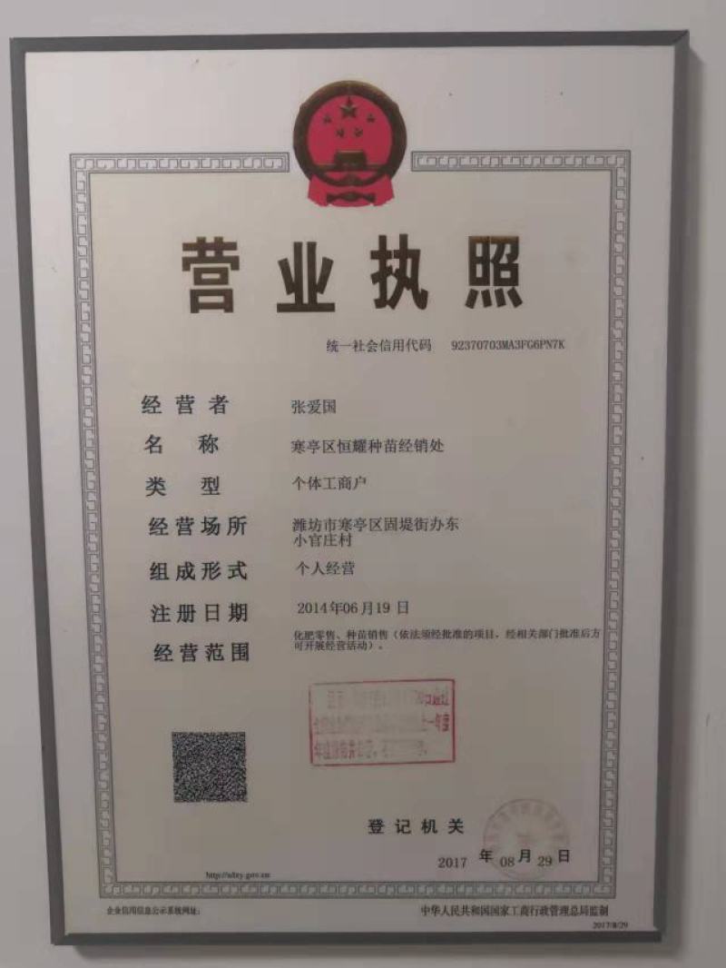 山东吊西瓜高甜爽口，专业挑瓜，公司放种+农户+基地=直供