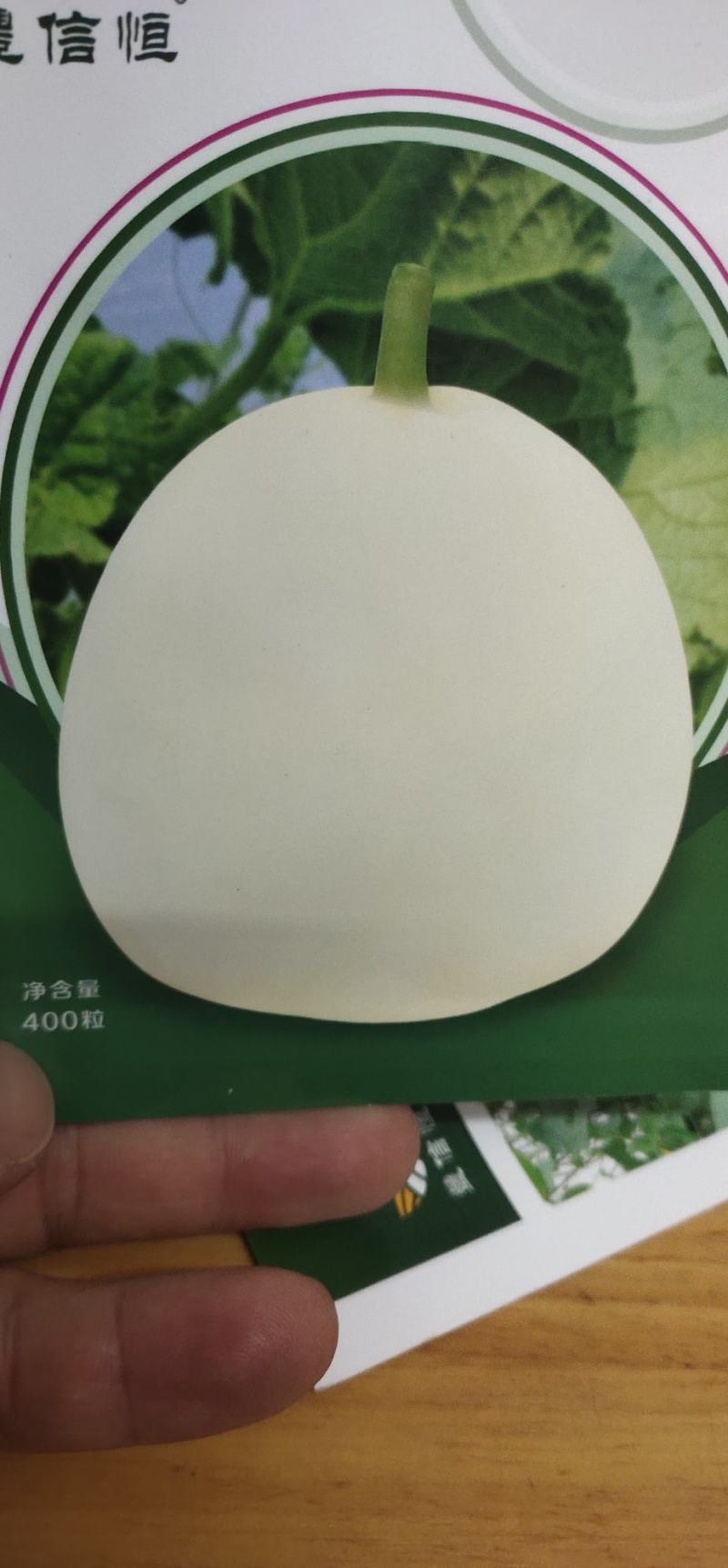 甜瓜种子汉白脆大果早熟杂交甜瓜组合瓤干碗，果肉厚，