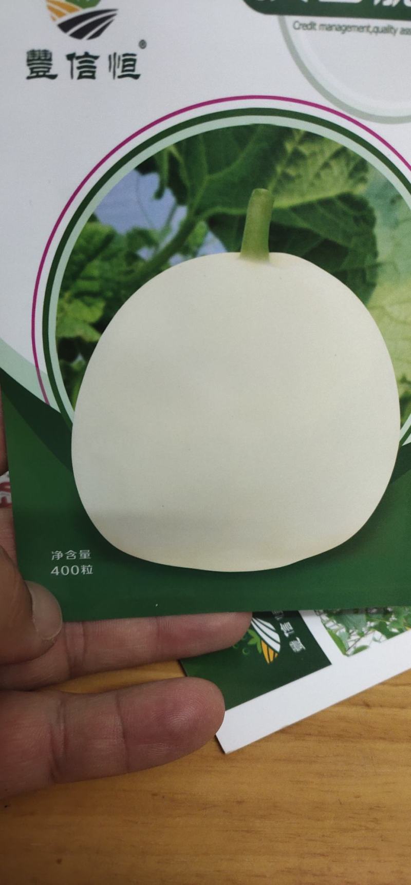 甜瓜种子汉白脆大果早熟杂交甜瓜组合瓤干碗，果肉厚，