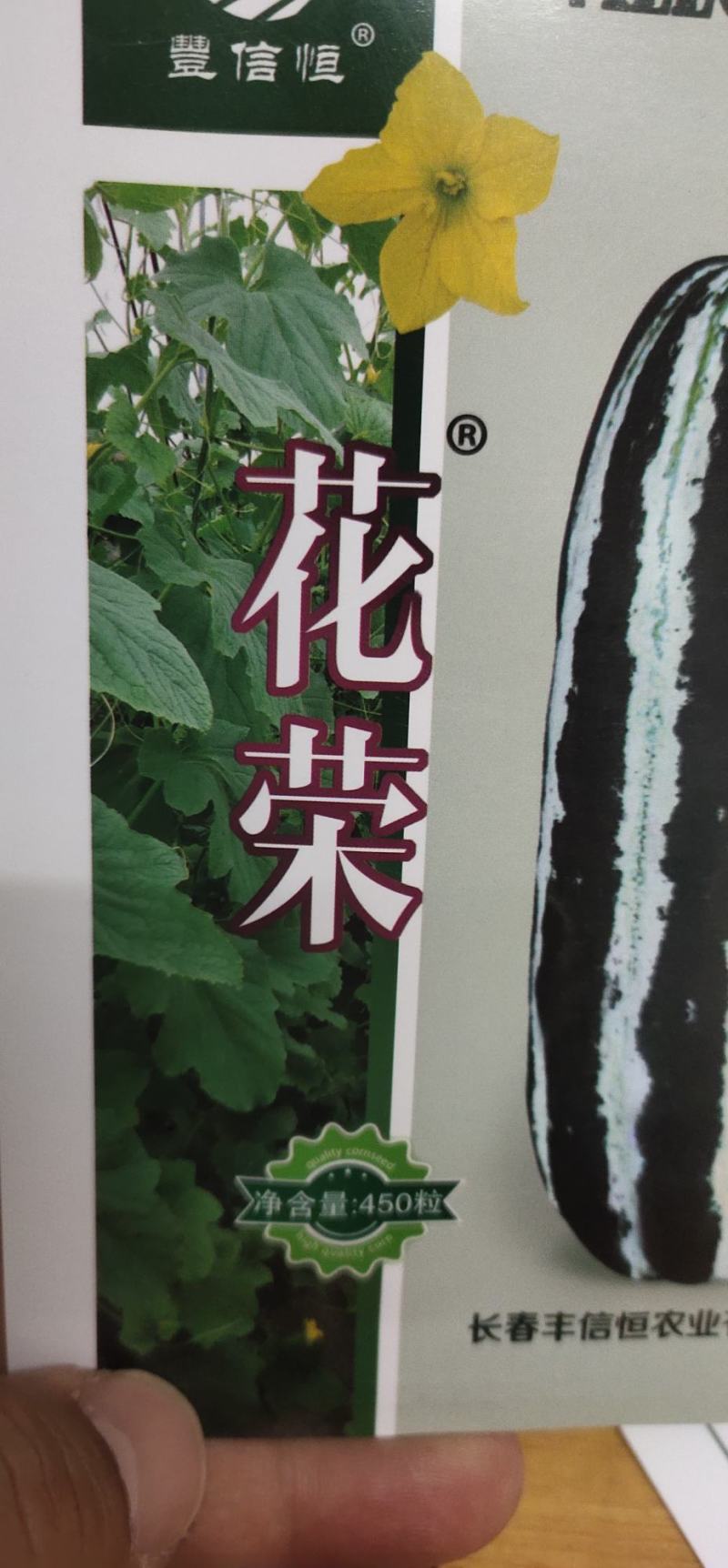 花皮甜瓜种子花荣早熟连续坐果能力强单瓜重750克