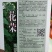 花皮甜瓜种子花荣早熟连续坐果能力强单瓜重750克