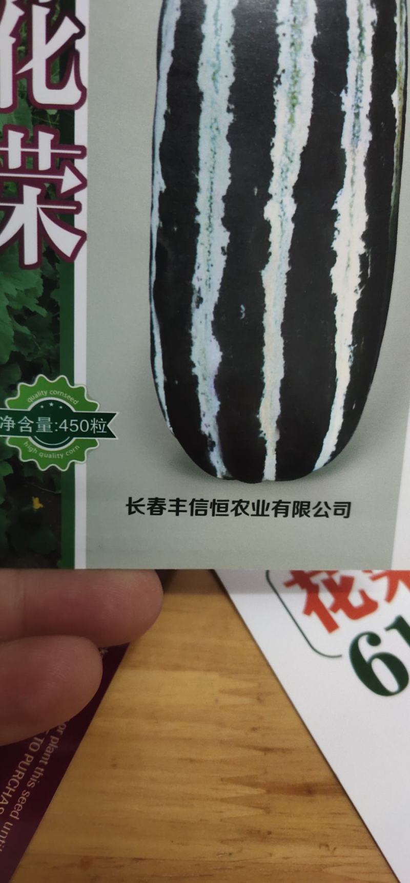花皮甜瓜种子花荣早熟连续坐果能力强单瓜重750克