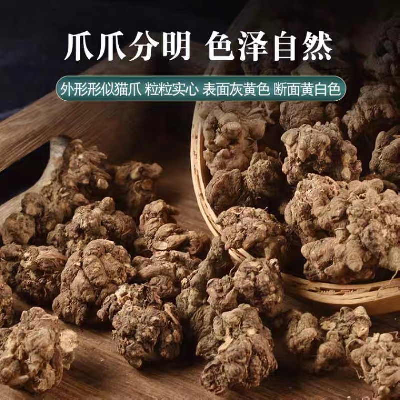 野生猫爪草500克中药材猫抓草中草药河南猫爪草新鲜