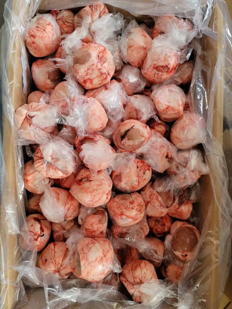 内蒙本地羔羊羊宝，加工厂家直销，个大质量好。