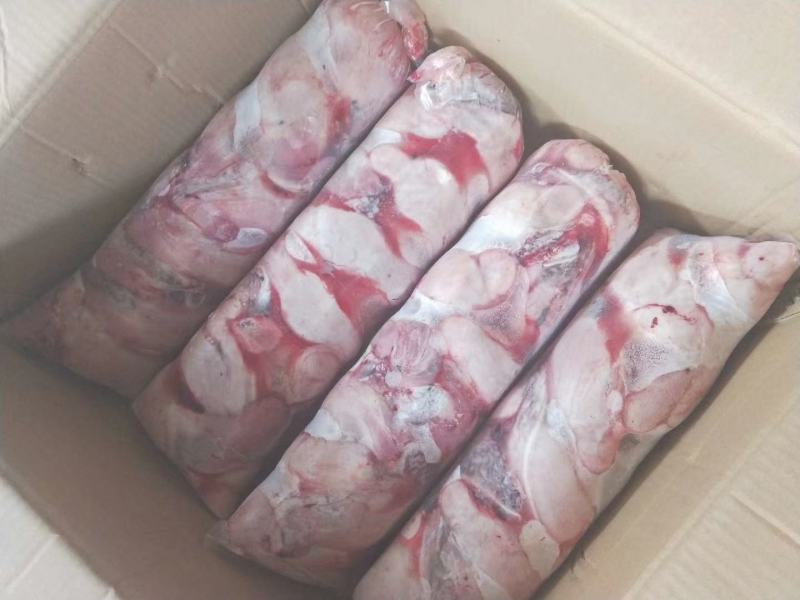 内蒙本地羔羊羊宝，加工厂家直销，个大质量好。