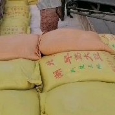 湖北监利黄豆
