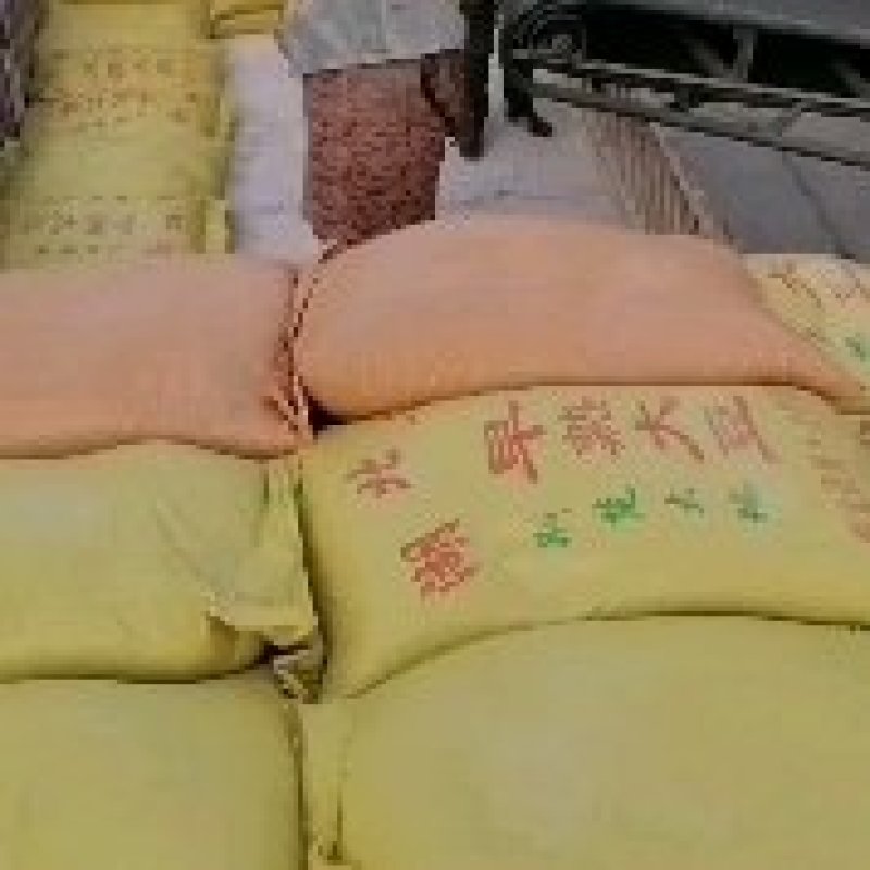 湖北监利黄豆