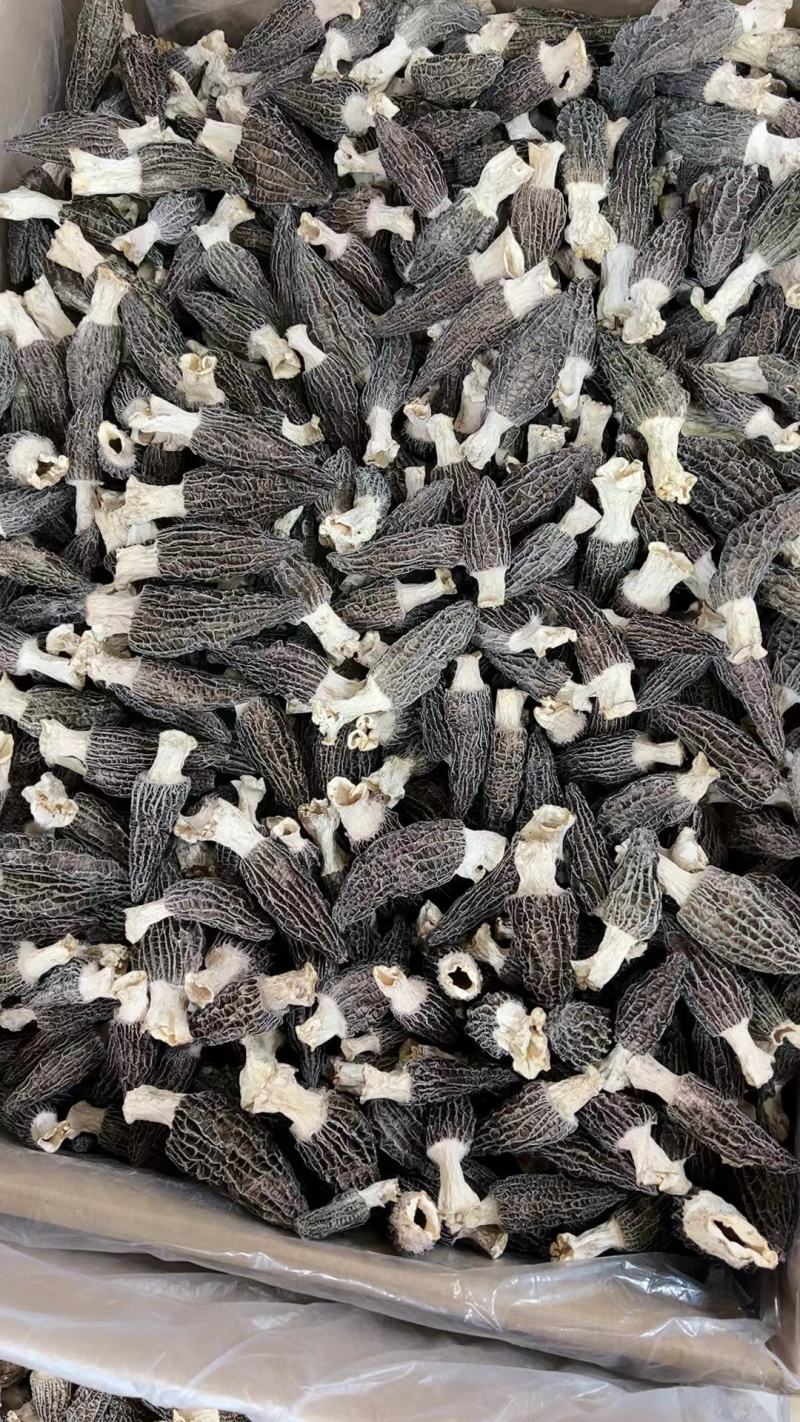 2022年羊肚菌干货新品，货源充足，产地直发，一手货源