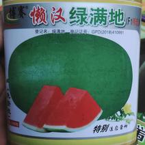 西瓜种子懒汉绿满地不整枝，不打杈，大红瓤，耐重茬，