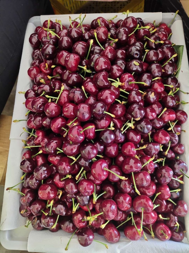 雅安汉源(果园出售）车厘子🍒