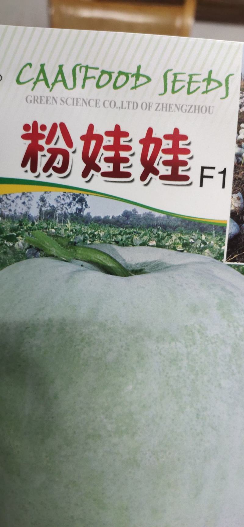 冬瓜种子粉娃娃F1早熟性好，瓜短桶型，大小均匀有蜡粉