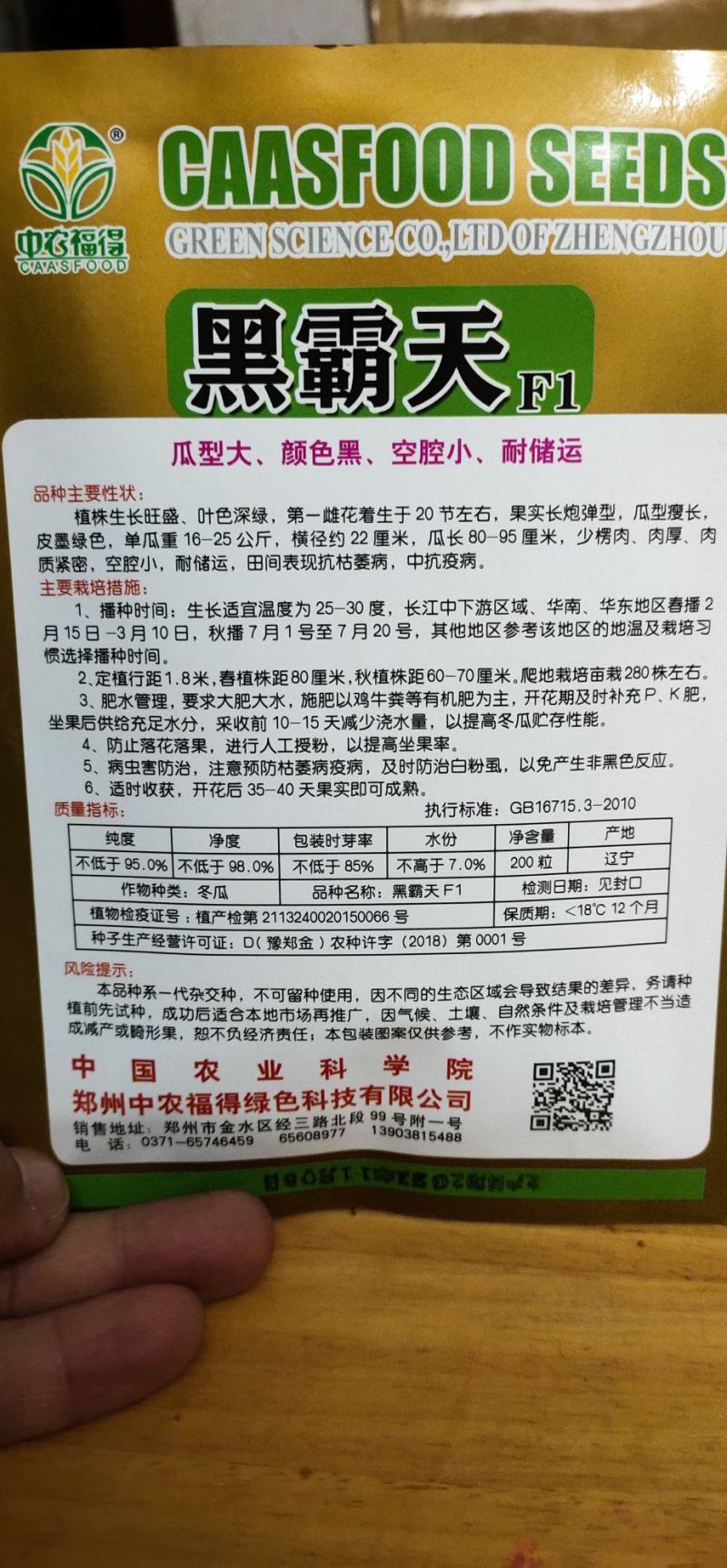 冬瓜种子黑霸天瓜型大、颜色黑、空腔小、耐储运