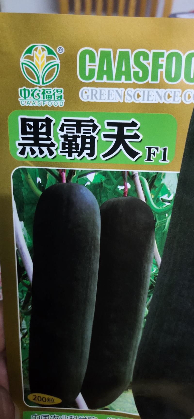 冬瓜种子黑霸天瓜型大、颜色黑、空腔小、耐储运