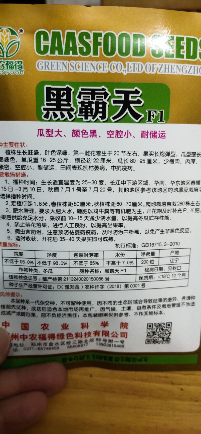 冬瓜种子黑霸天瓜型大、颜色黑、空腔小、耐储运