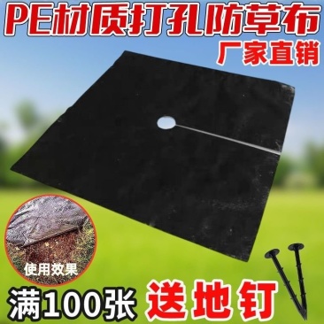 厂家直销切片打孔防草布除草布园艺地布1米1.2米1.5米