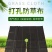 厂家直销切片打孔防草布除草布园艺地布1米1.2米1.5米
