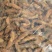 牛肉片牛肉条（展会，卖场，摆摊，门市等，量大从优