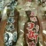 手撕牛肉（五香麻辣味）展会门市超市等、量大从优