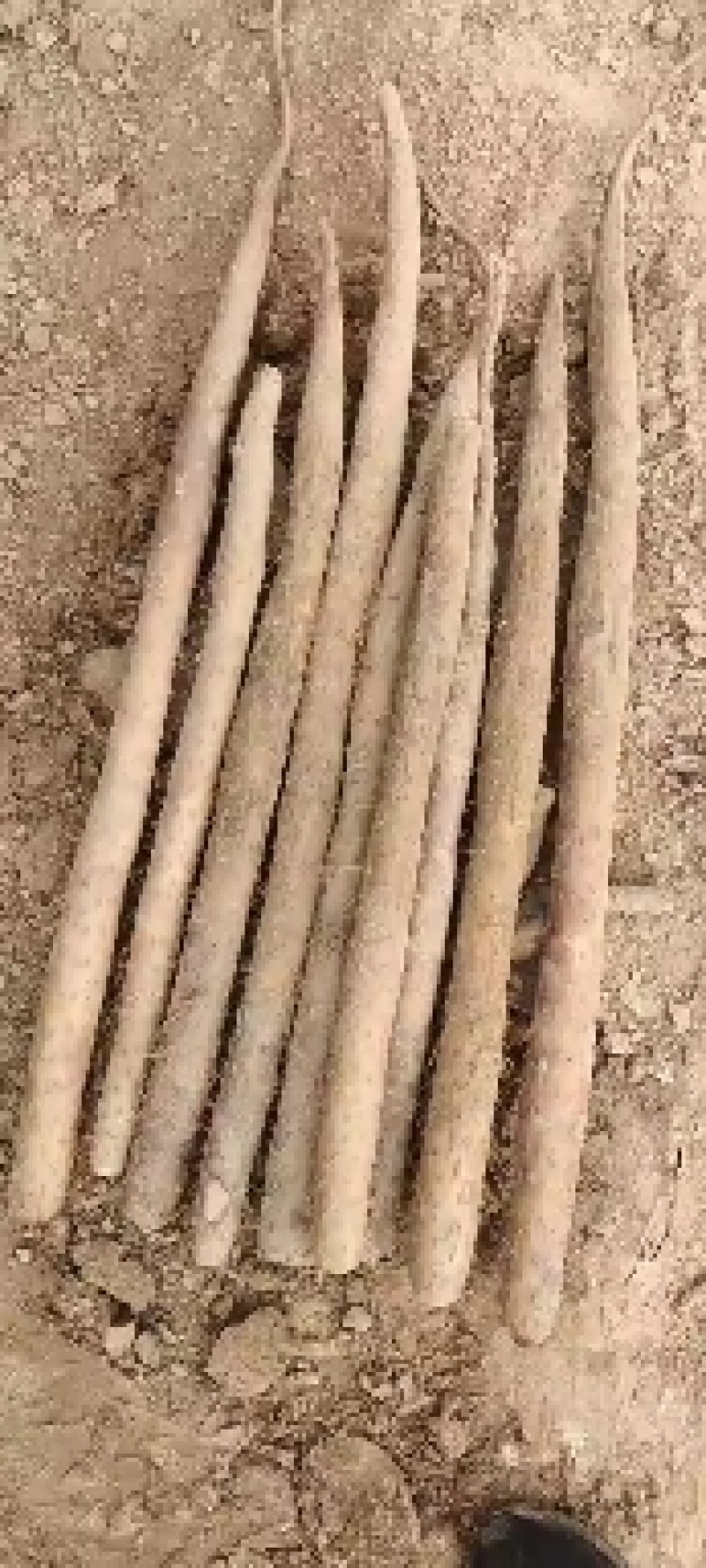 白玉大通货，大量有货，条形直，颜色好，纯沙地