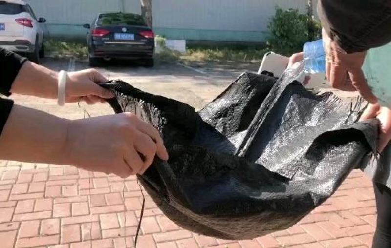 防草布除草布地布果园茶园种植药材育苗打孔地布