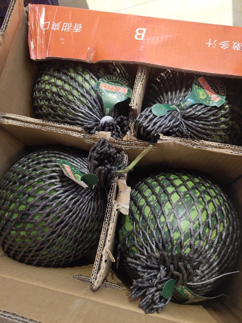 冰糖麒麟王F1大果品种耐裂果含糖量高新种子假一赔十