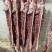 羊蝎子新鲜屠宰满肉羊蝎子可据块