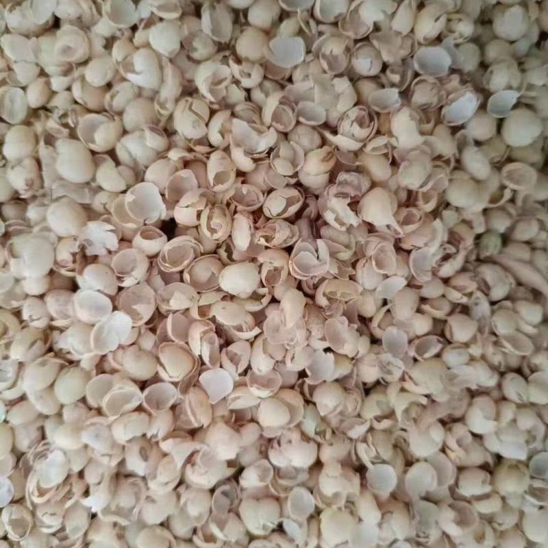 大壳豆皮