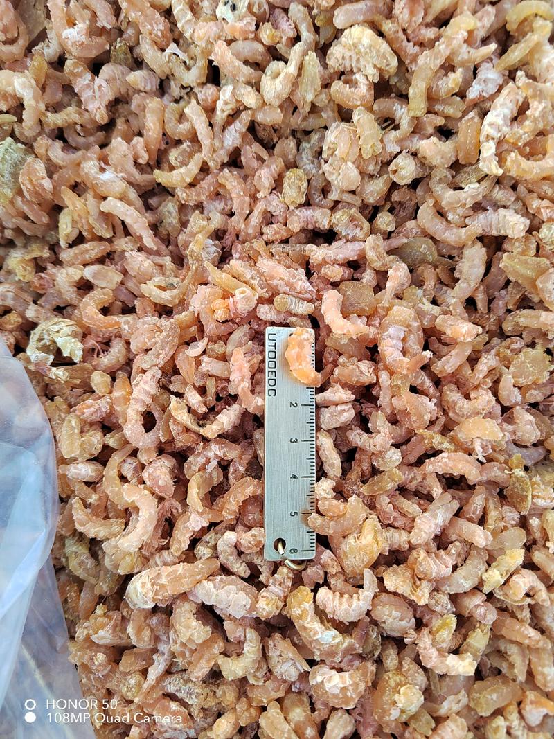 原干金钩海米，一手货源，价格优惠