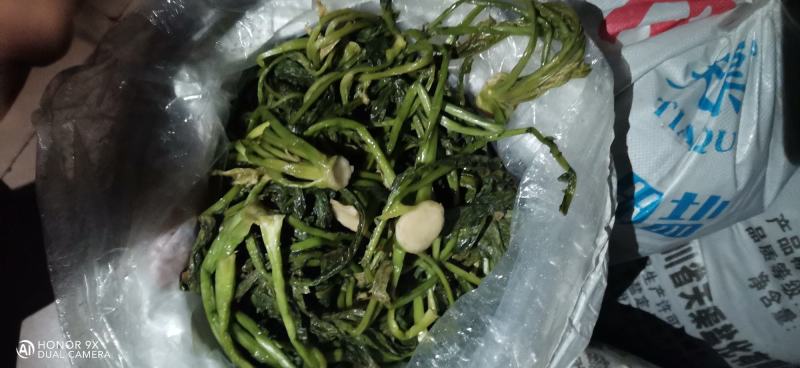 芥菜丝大头菜辣疙瘩丝腌制好的丝丝腌制好的叶子