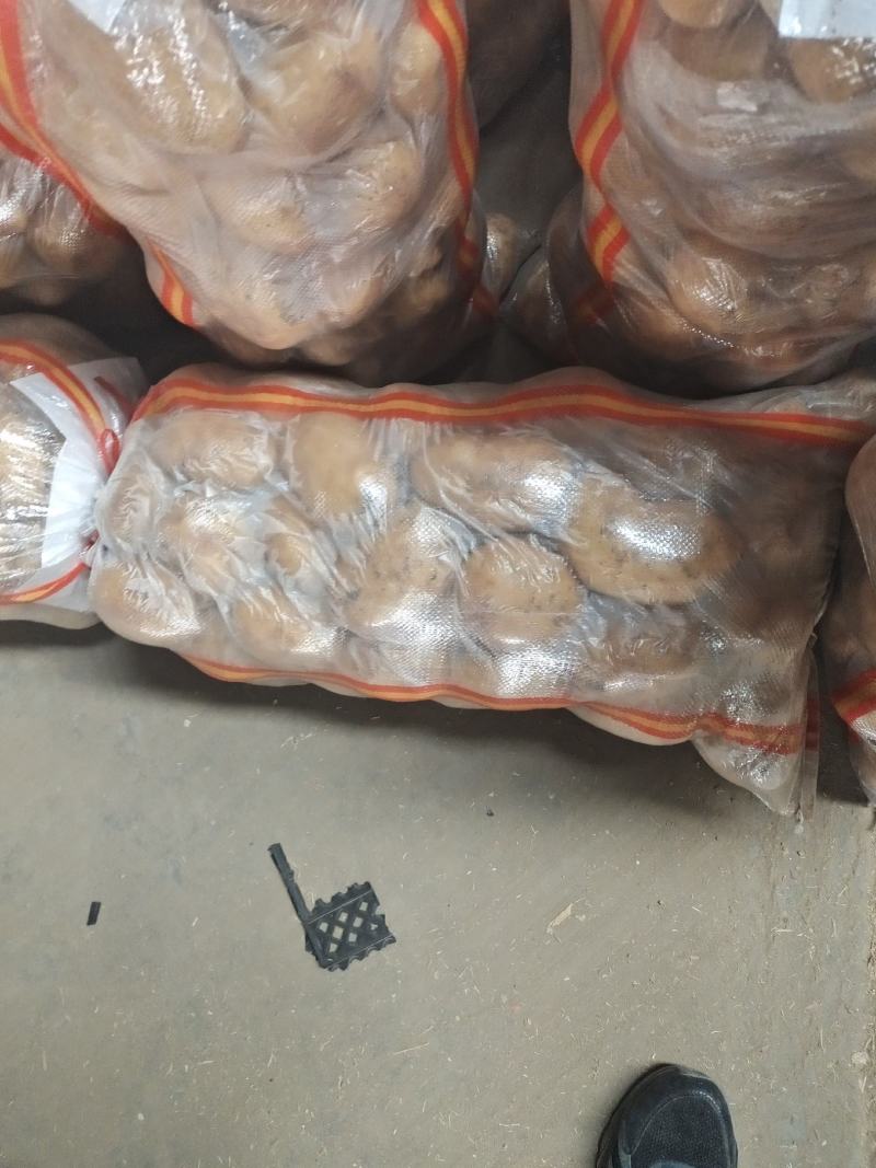 内蒙微7土豆