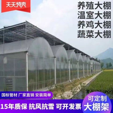 种植大棚养殖大棚水产大棚温室大棚联动大棚玻璃温室