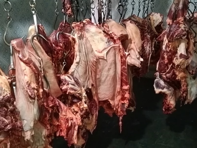 生鲜带皮马排，去皮马排，自己养殖一手货源