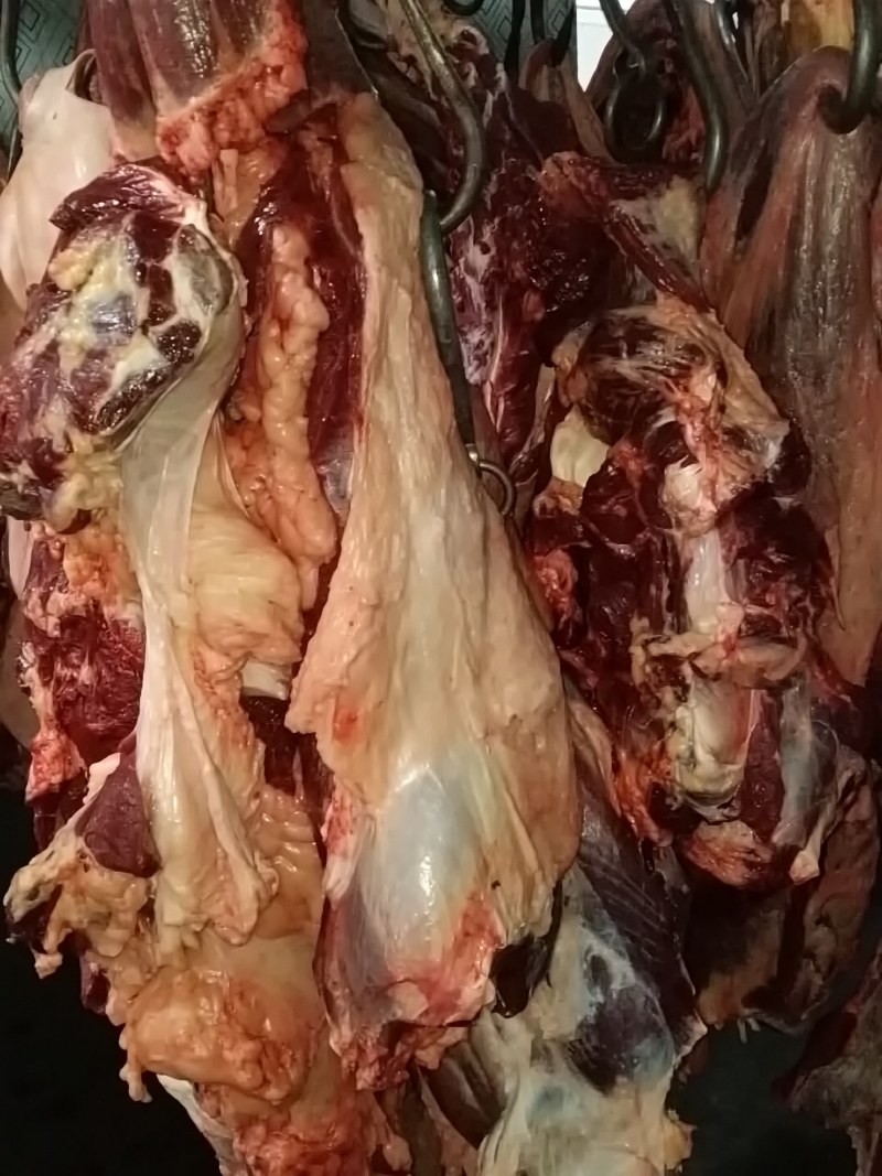 鲜驴肉，水腿毛鲜驴肉正宗草饲料0添加无注水……