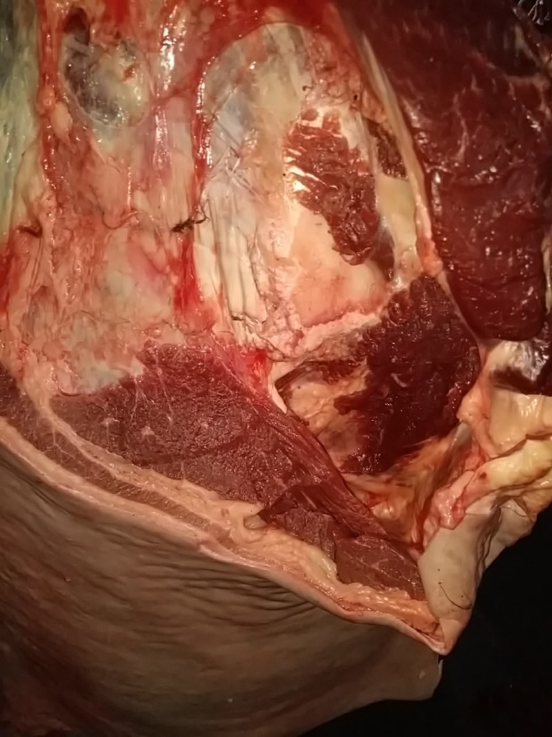 鲜驴肉，水腿毛鲜驴肉正宗草饲料0添加无注水……